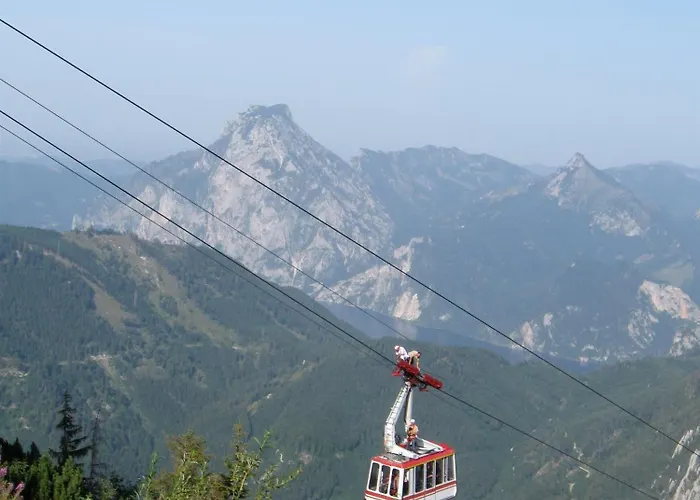 Berggasthof Edelweiss Gasthof